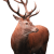 deer2-1.png